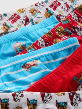 1,5-7 ani | Set de 6 chiloți Paw Patrol