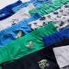 1,5-8 ani | pachet de 10 chiloți cu imprimeu Digger