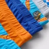 1,5-8 ani | pachet de 6 chiloți Hot Wheels