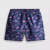 7-15 ani | pantaloni scurți de baie cu imprimeu flamingo 7-15 ani | pantaloni scurți de baie cu imprimeu flamingo