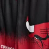 7-15 ani | Set din plasă NBA Chicago Bulls 7-15 ani | Set din plasă NBA Chicago Bulls