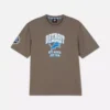 Cămășă cu logo-ul echipei Detroit Lions din NFL Cămășă cu logo-ul echipei Detroit Lions din NFL