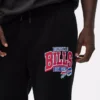 Pantaloni de trening NFL Buffalo Bills Pantaloni de trening NFL Buffalo Bills