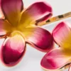 Set de 2 agrafe florale